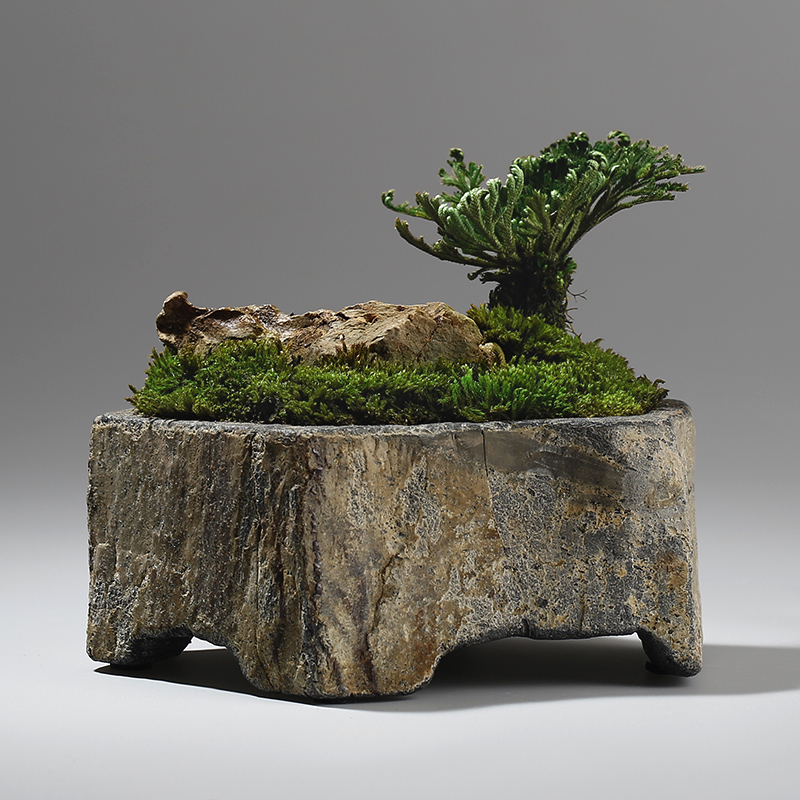 Basalt Natural Stone Flower Po - Desk Setup Plant ulasan dan harga