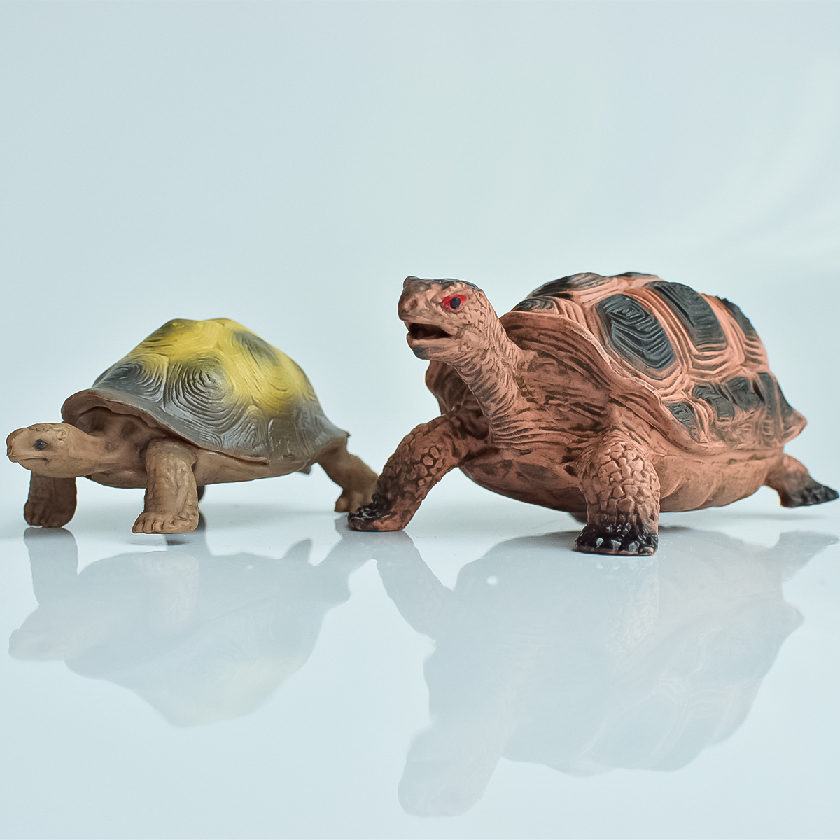 Painted Realistic Animal Turtl - Desk Setup Plant ulasan dan harga