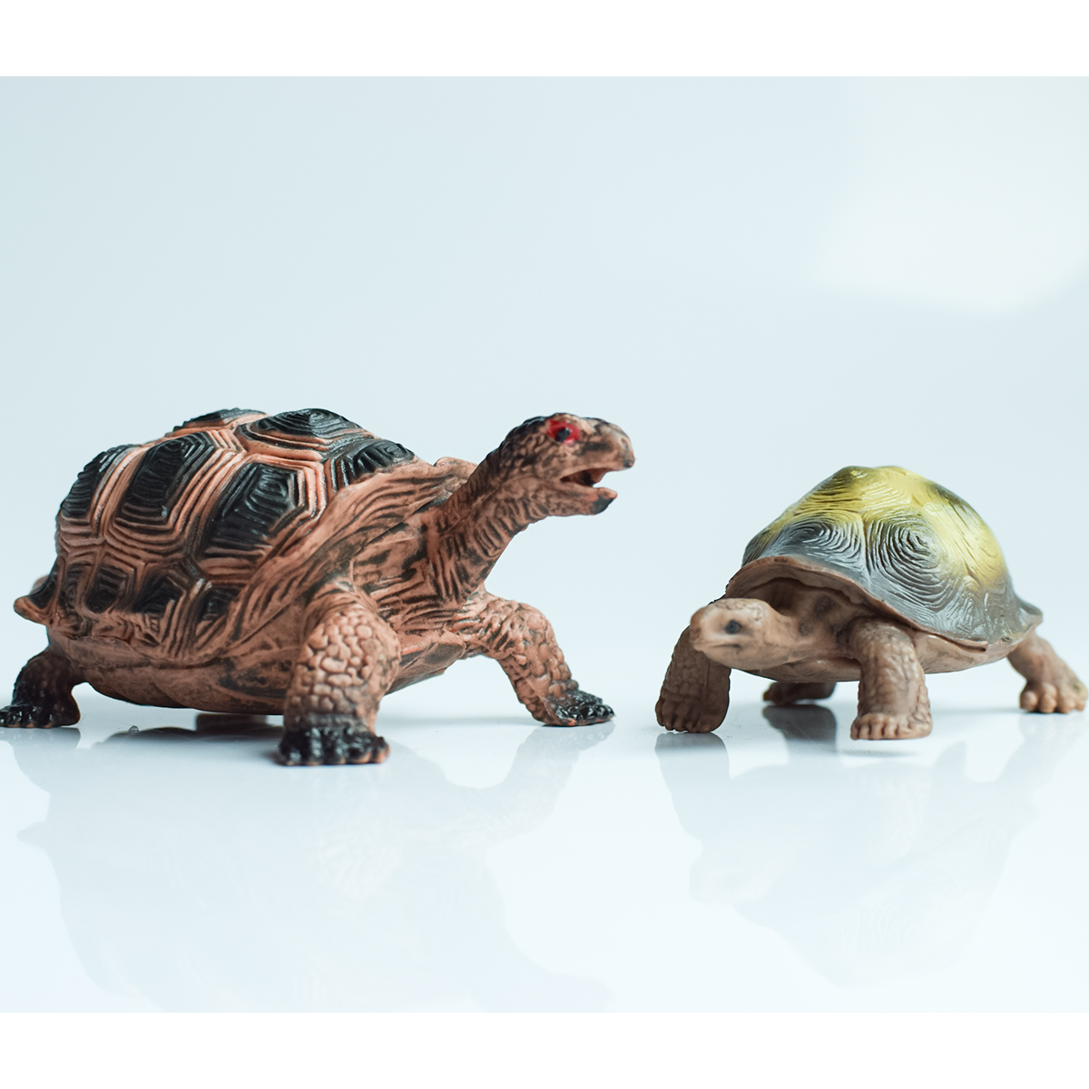 Painted Realistic Animal Turtl - Desk Setup Plant ulasan dan harga